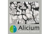Alicium - La boutique